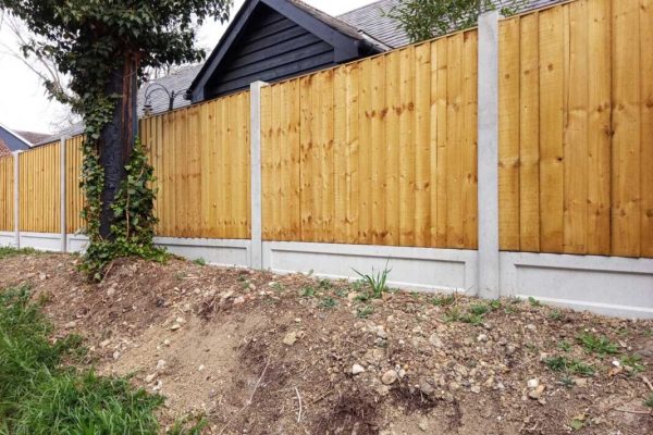 01-1067x800 01-1067x800