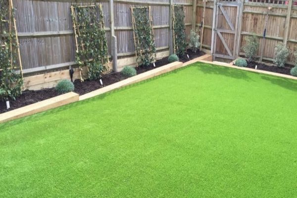 Ned-Grass-Image-6-600x600-1 Ned-Grass-Image-6-600x600-1